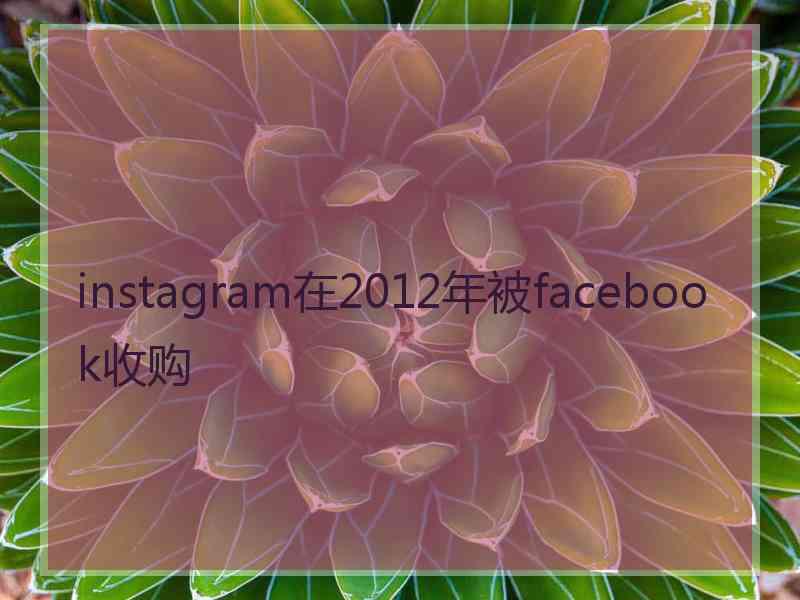 instagram在2012年被facebook收购