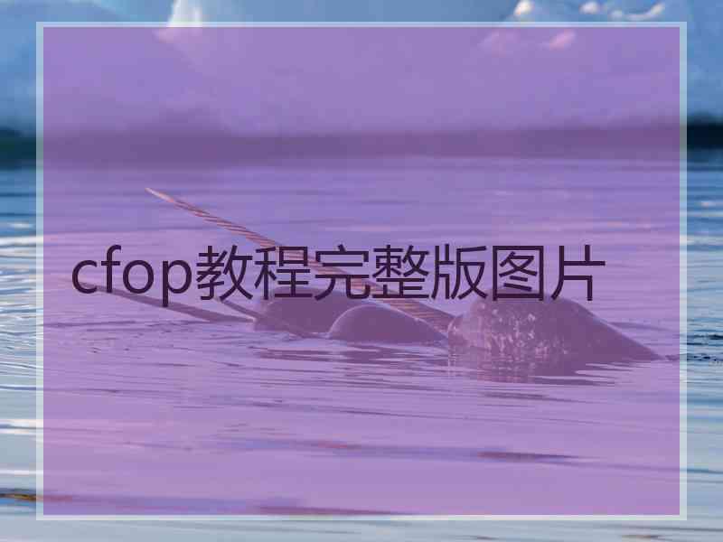 cfop教程完整版图片