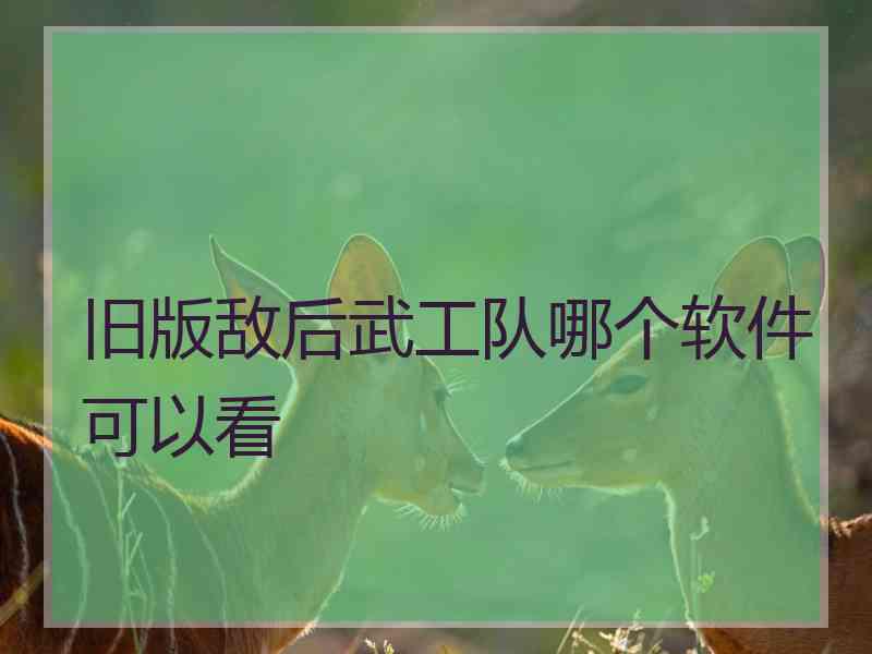 旧版敌后武工队哪个软件可以看