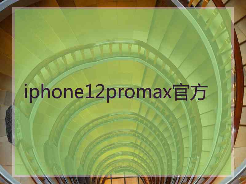 iphone12promax官方