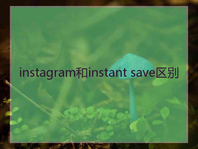 instagram和instant save区别