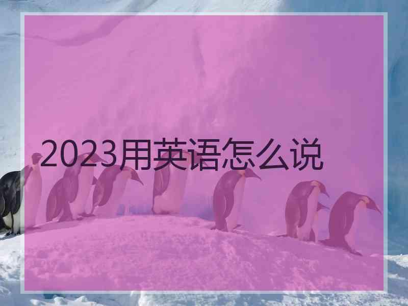 2023用英语怎么说