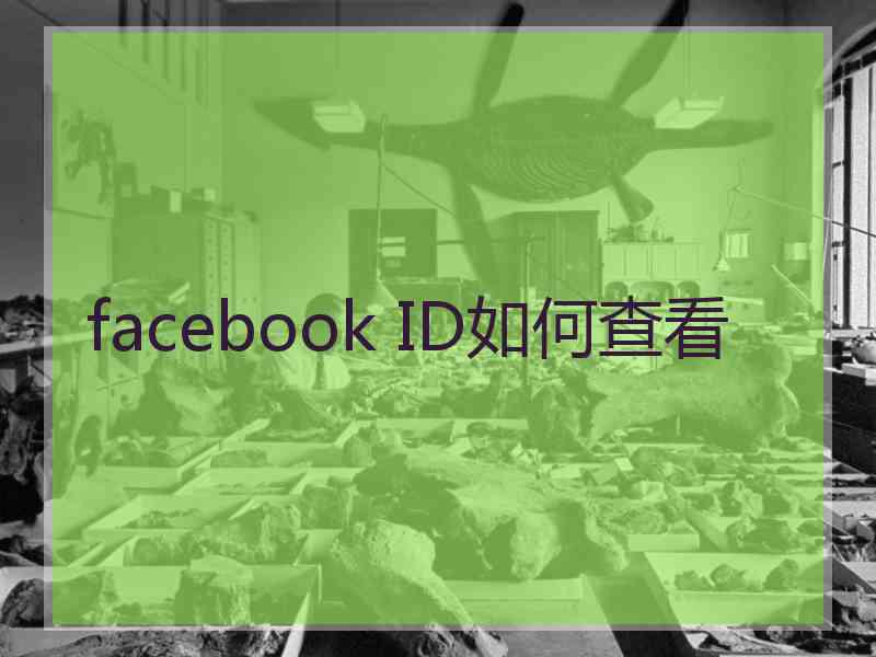 facebook ID如何查看