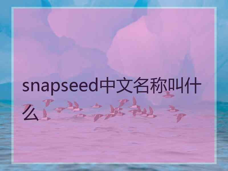 snapseed中文名称叫什么