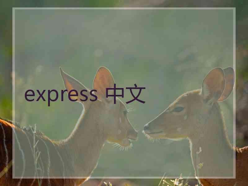 express 中文