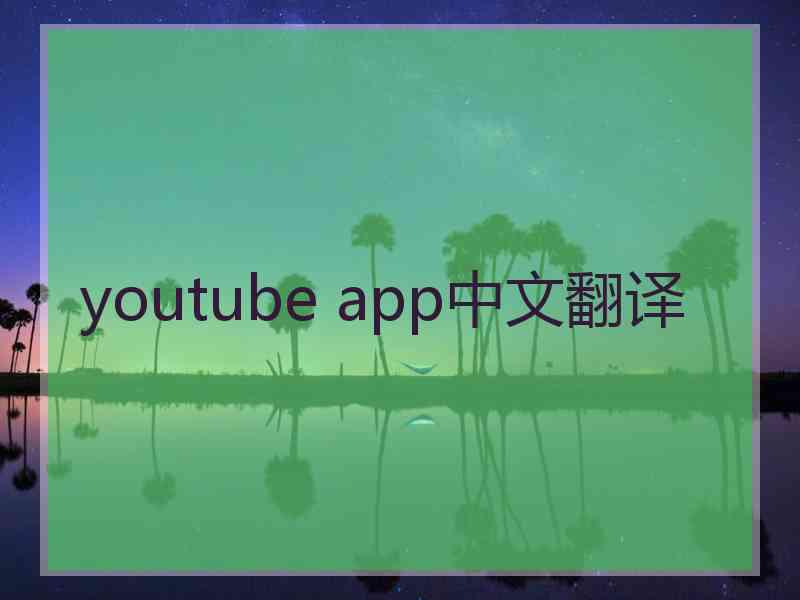 youtube app中文翻译