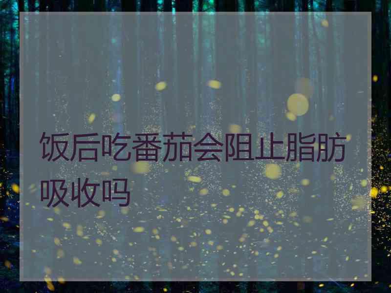 饭后吃番茄会阻止脂肪吸收吗