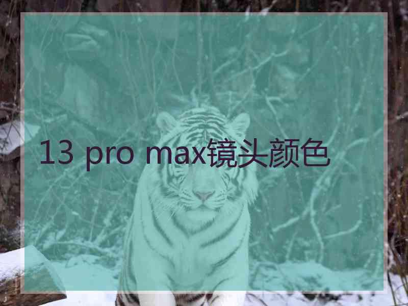 13 pro max镜头颜色