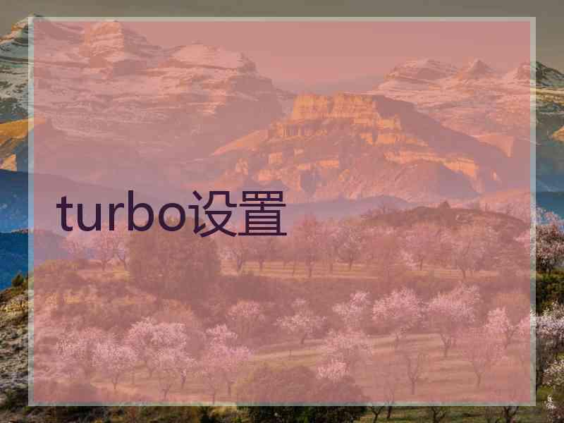 turbo设置