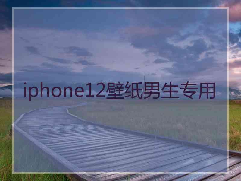 iphone12壁纸男生专用