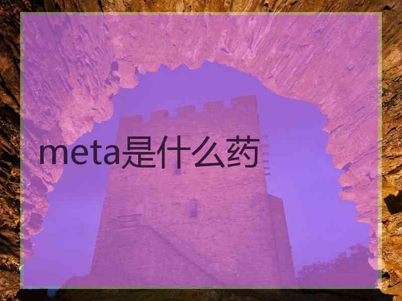 meta是什么药