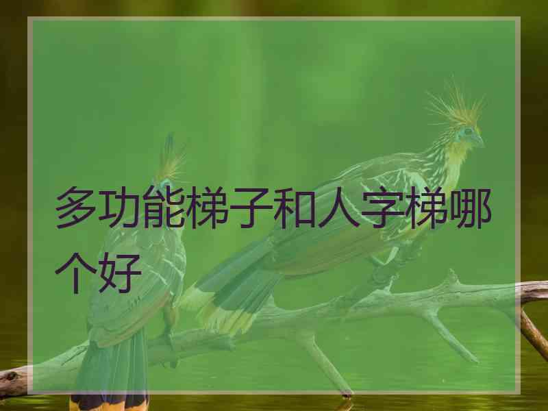 多功能梯子和人字梯哪个好