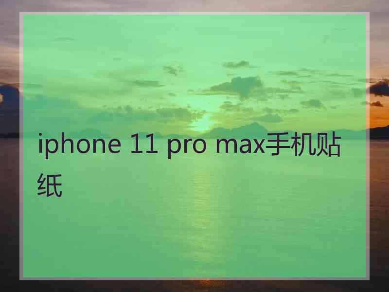 iphone 11 pro max手机贴纸