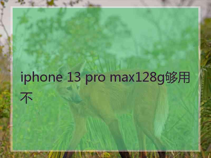 iphone 13 pro max128g够用不