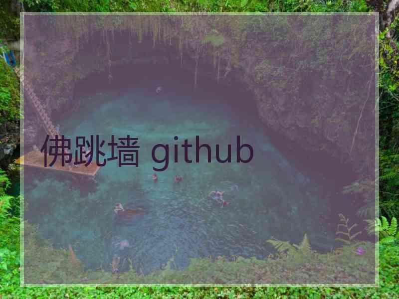 佛跳墙 github