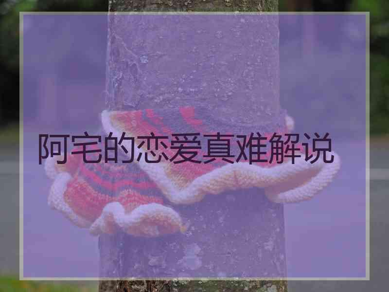 阿宅的恋爱真难解说