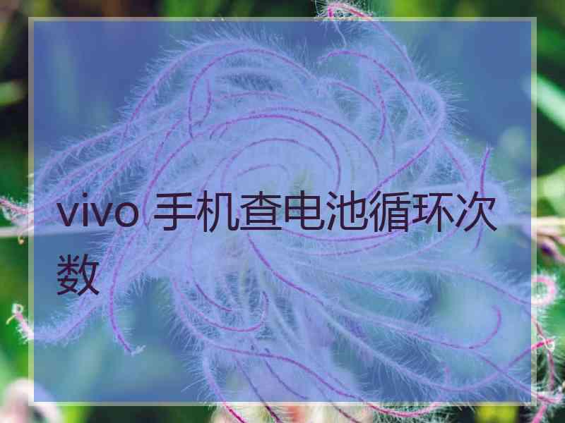 vivo 手机查电池循环次数