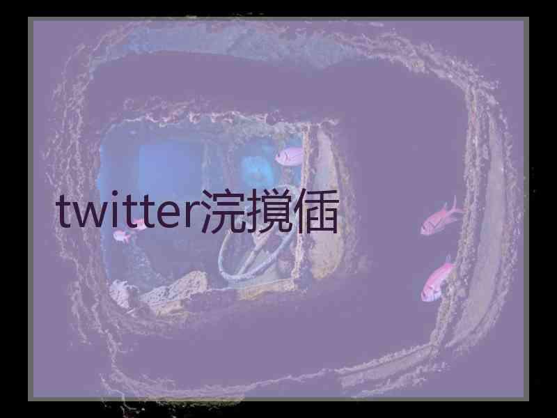 twitter浣撹偛