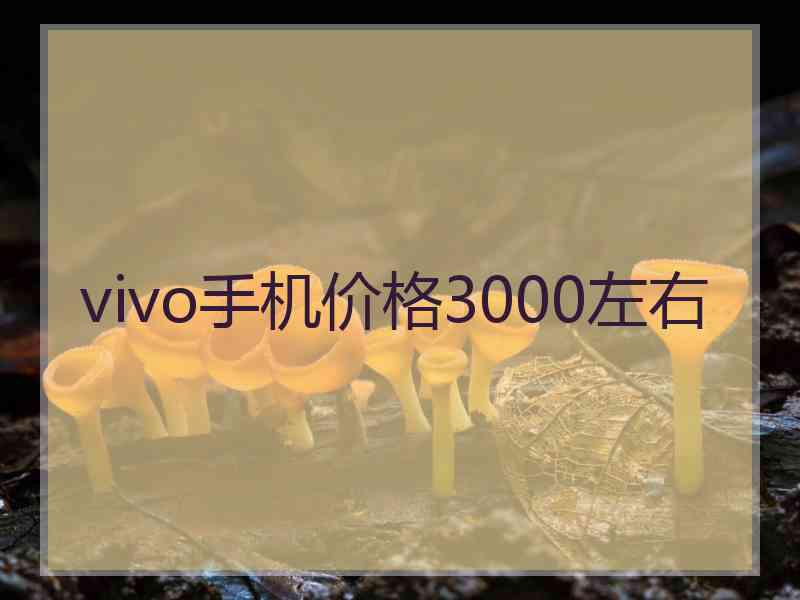 vivo手机价格3000左右