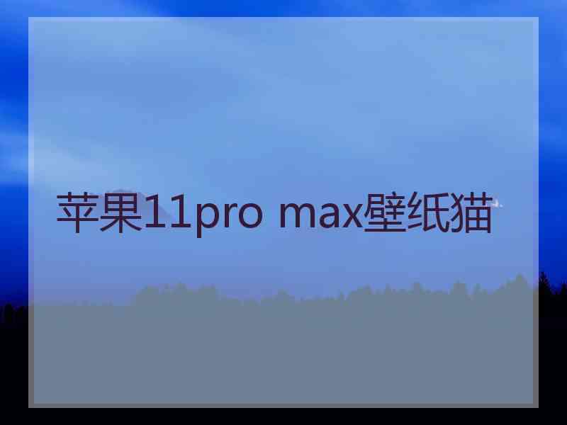 苹果11pro max壁纸猫