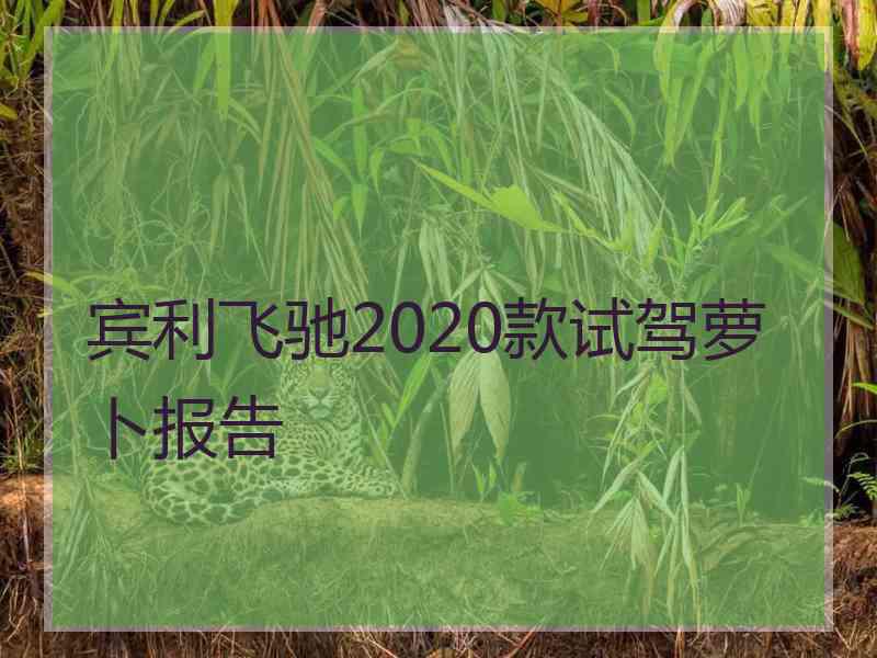 宾利飞驰2020款试驾萝卜报告