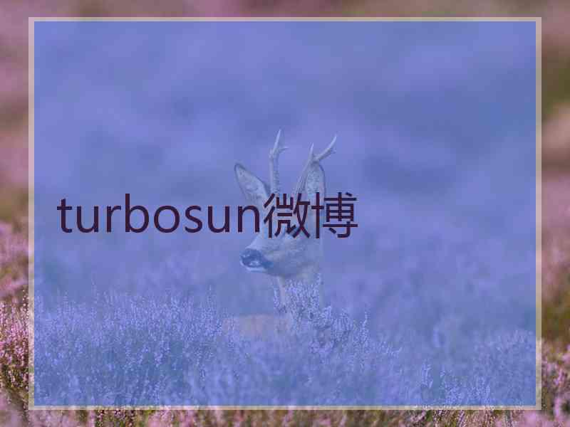 turbosun微博