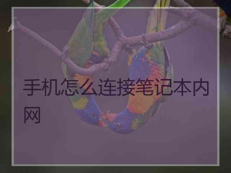 手机怎么连接笔记本内网