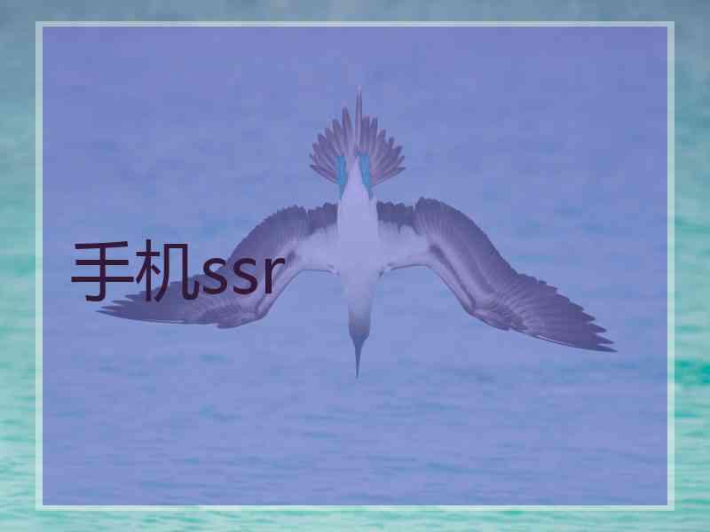 手机ssr