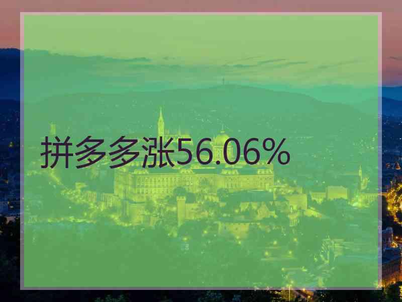 拼多多涨56.06%