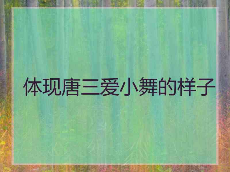 体现唐三爱小舞的样子