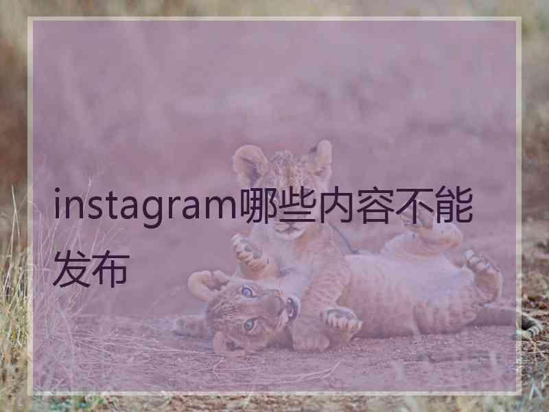 instagram哪些内容不能发布