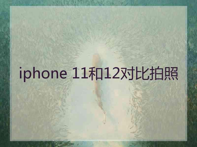 iphone 11和12对比拍照