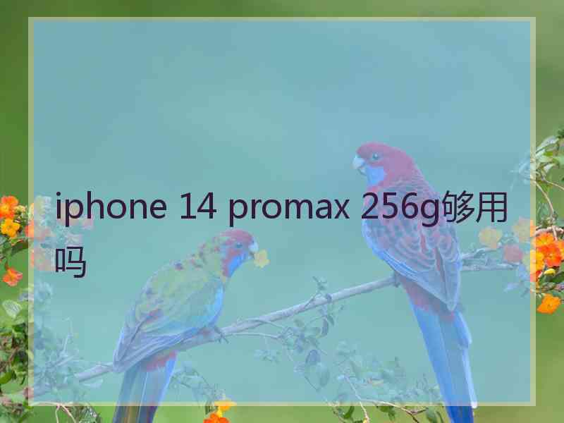 iphone 14 promax 256g够用吗