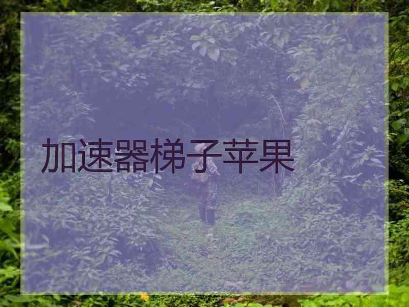 加速器梯子苹果