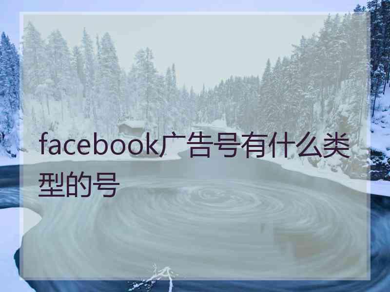 facebook广告号有什么类型的号