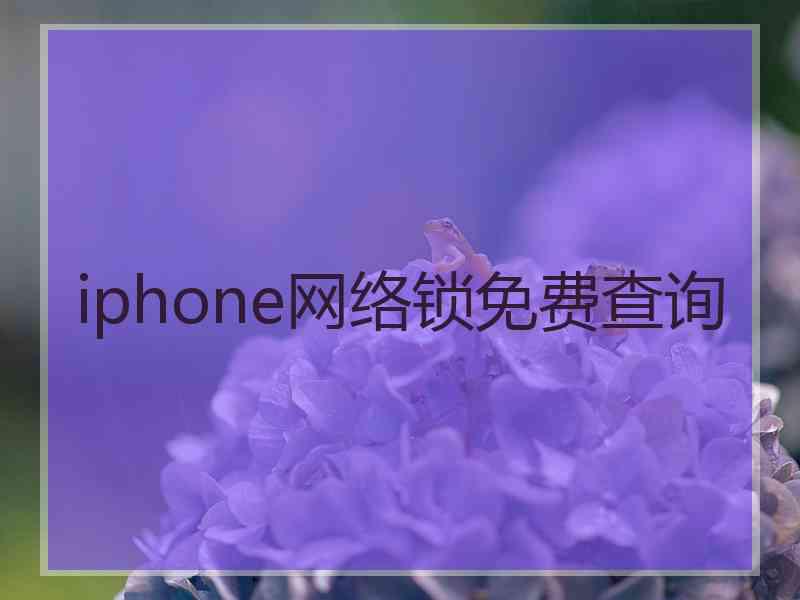 iphone网络锁免费查询