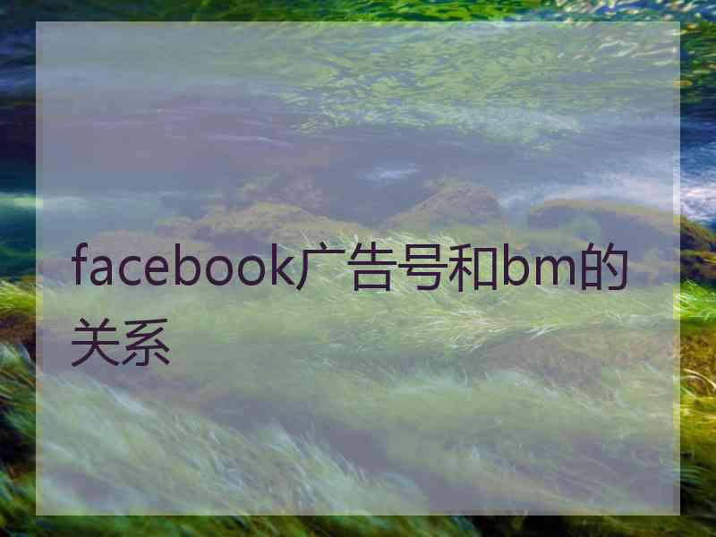 facebook广告号和bm的关系