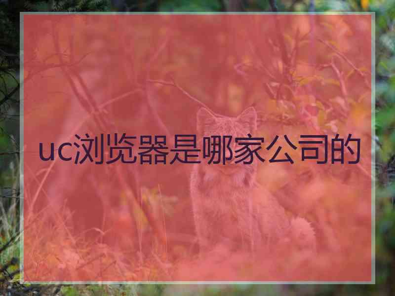 uc浏览器是哪家公司的