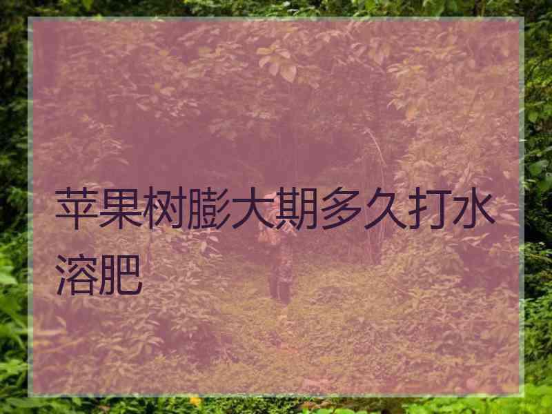 苹果树膨大期多久打水溶肥