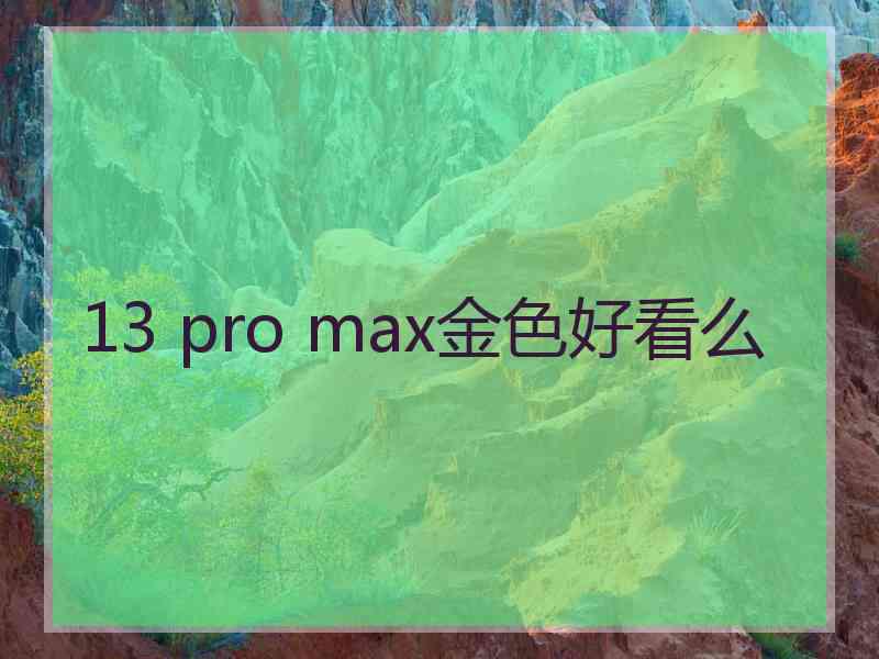 13 pro max金色好看么