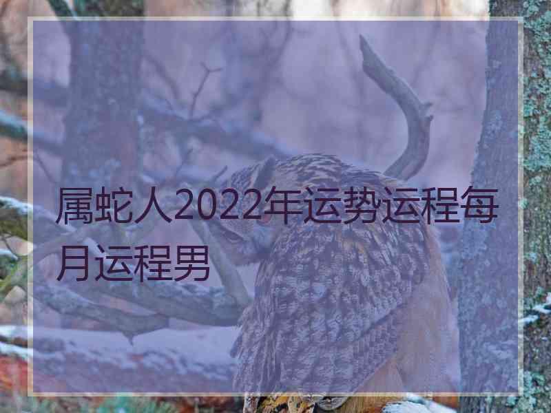 属蛇人2022年运势运程每月运程男