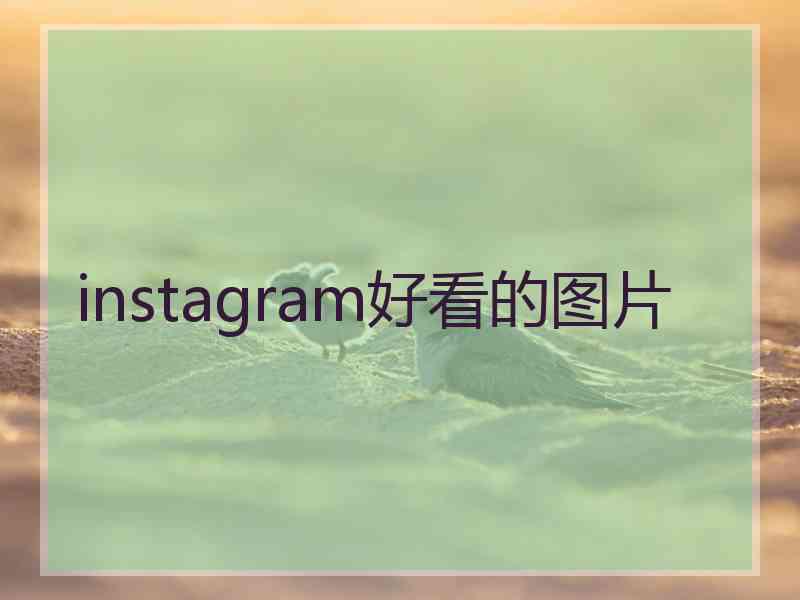 instagram好看的图片