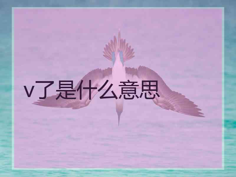 v了是什么意思