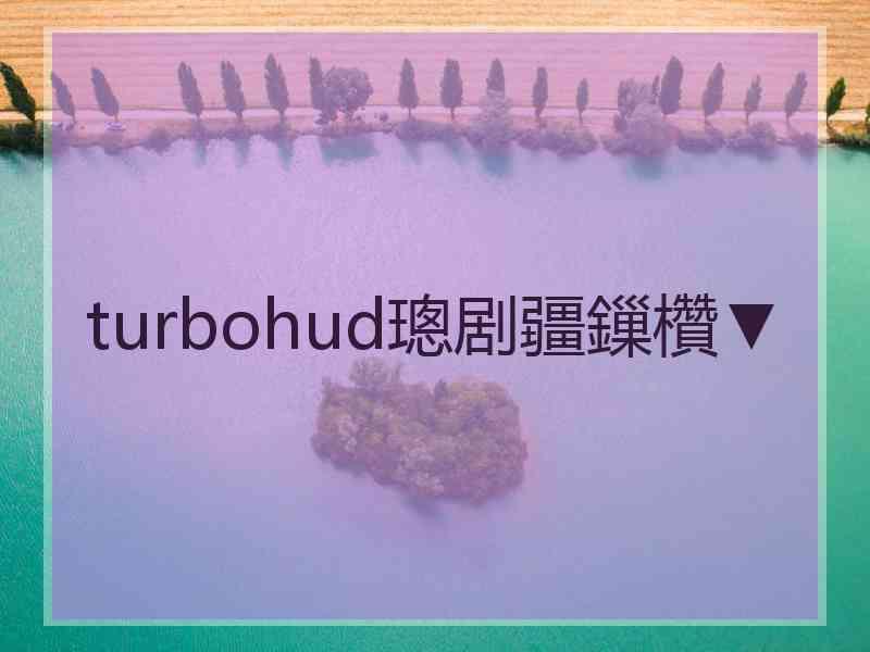 turbohud璁剧疆鏁欑▼