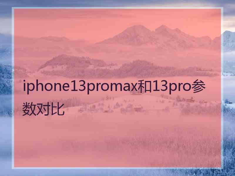 iphone13promax和13pro参数对比