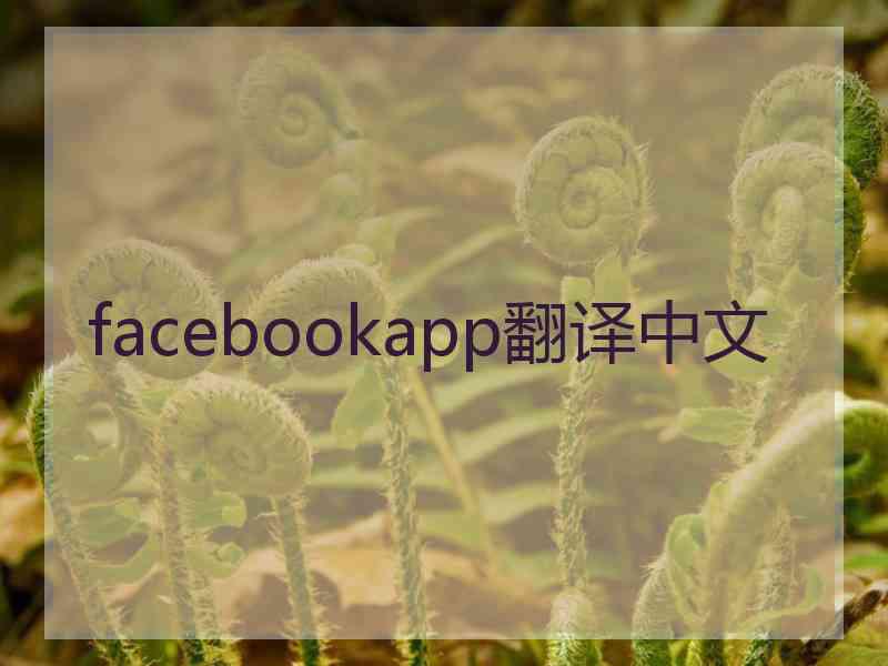 facebookapp翻译中文