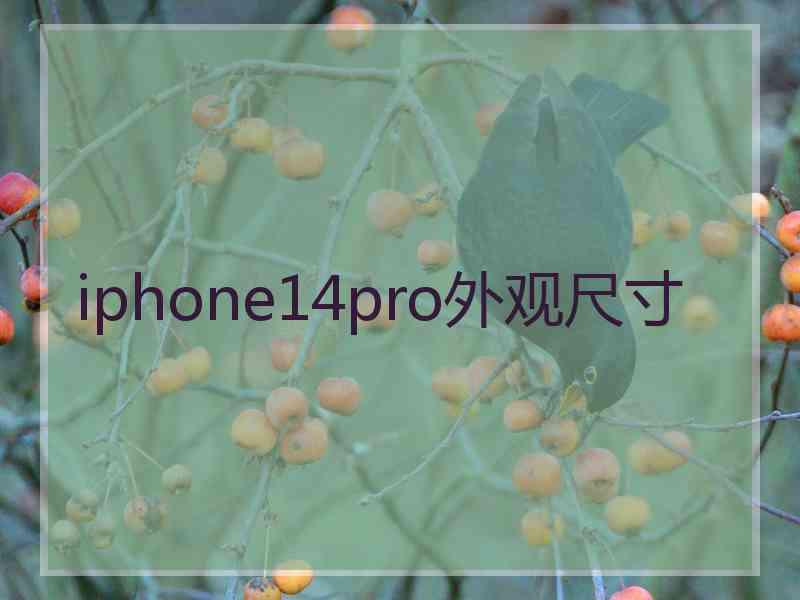 iphone14pro外观尺寸