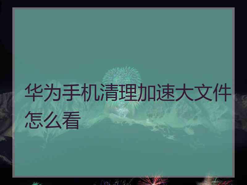 华为手机清理加速大文件怎么看