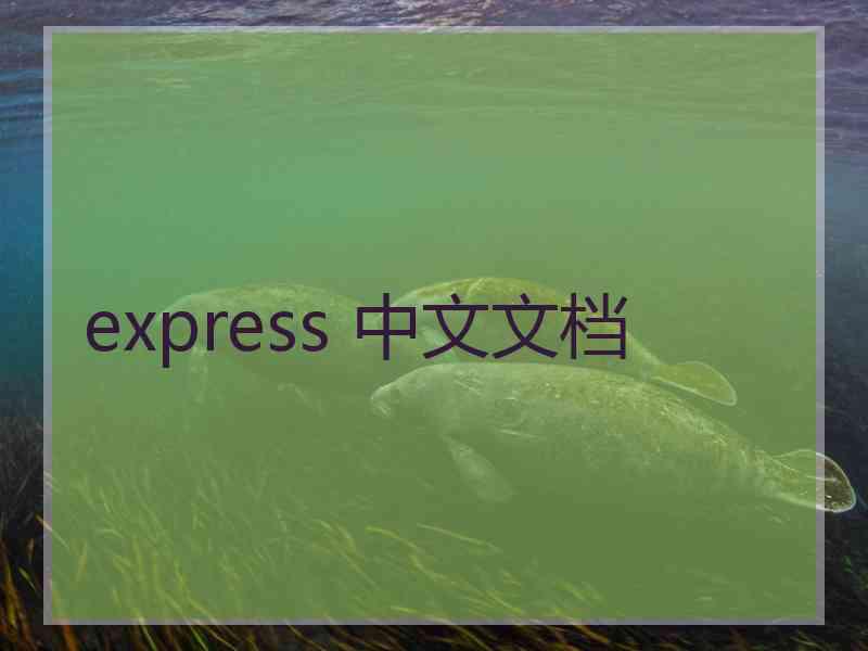 express 中文文档