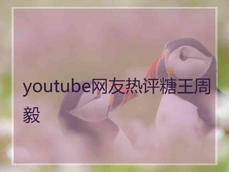 youtube网友热评糖王周毅